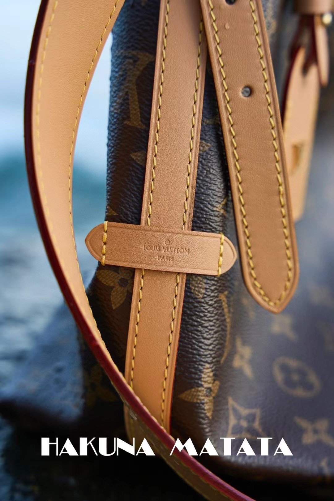 LOUIS VUITTON CARRYALL M46203