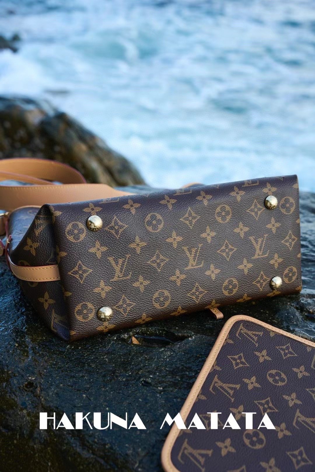 LOUIS VUITTON CARRYALL M46203