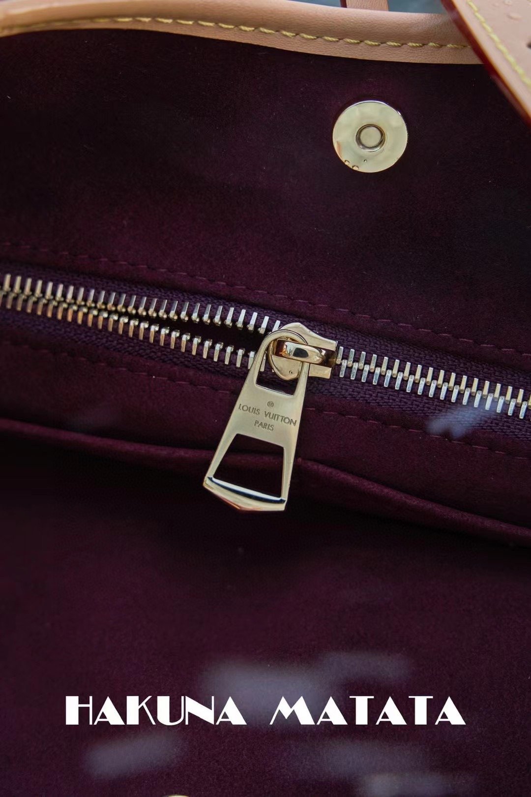 LOUIS VUITTON CARRYALL M46203