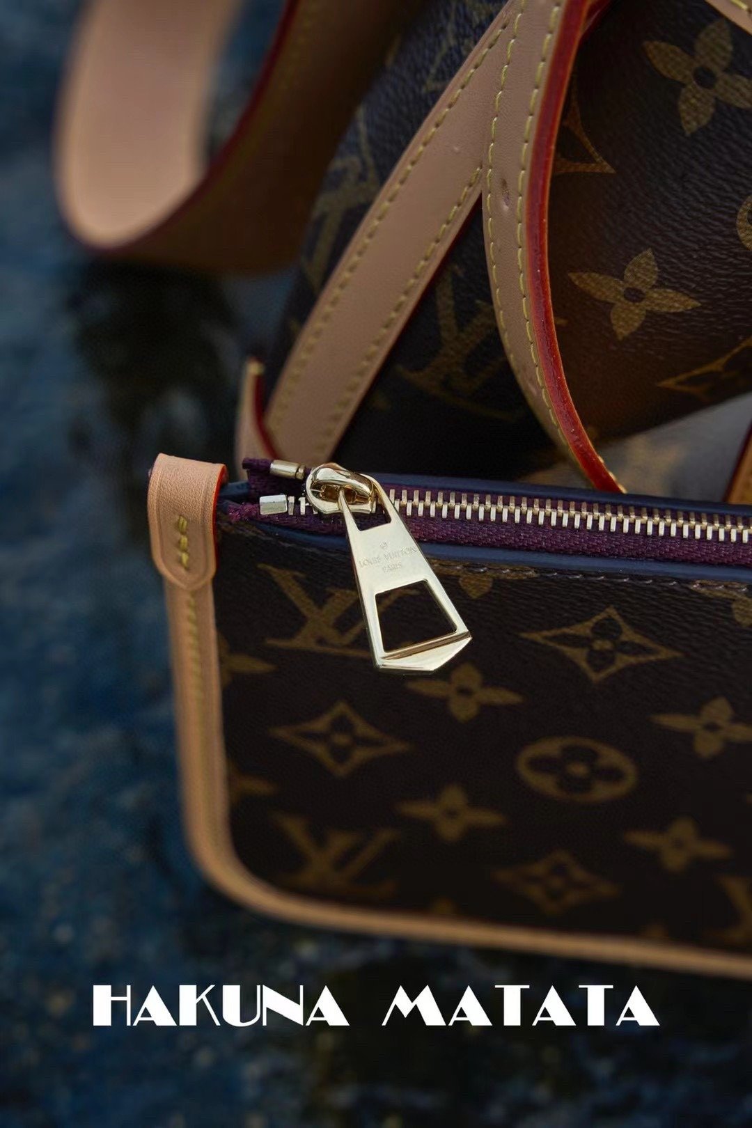 LOUIS VUITTON CARRYALL M46203