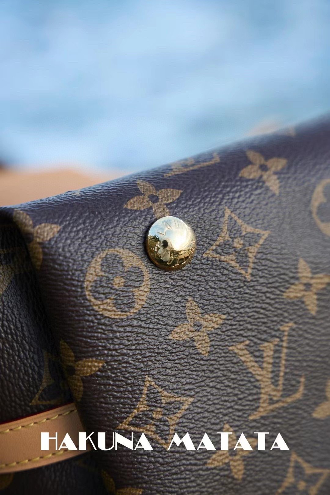 LOUIS VUITTON CARRYALL M46203