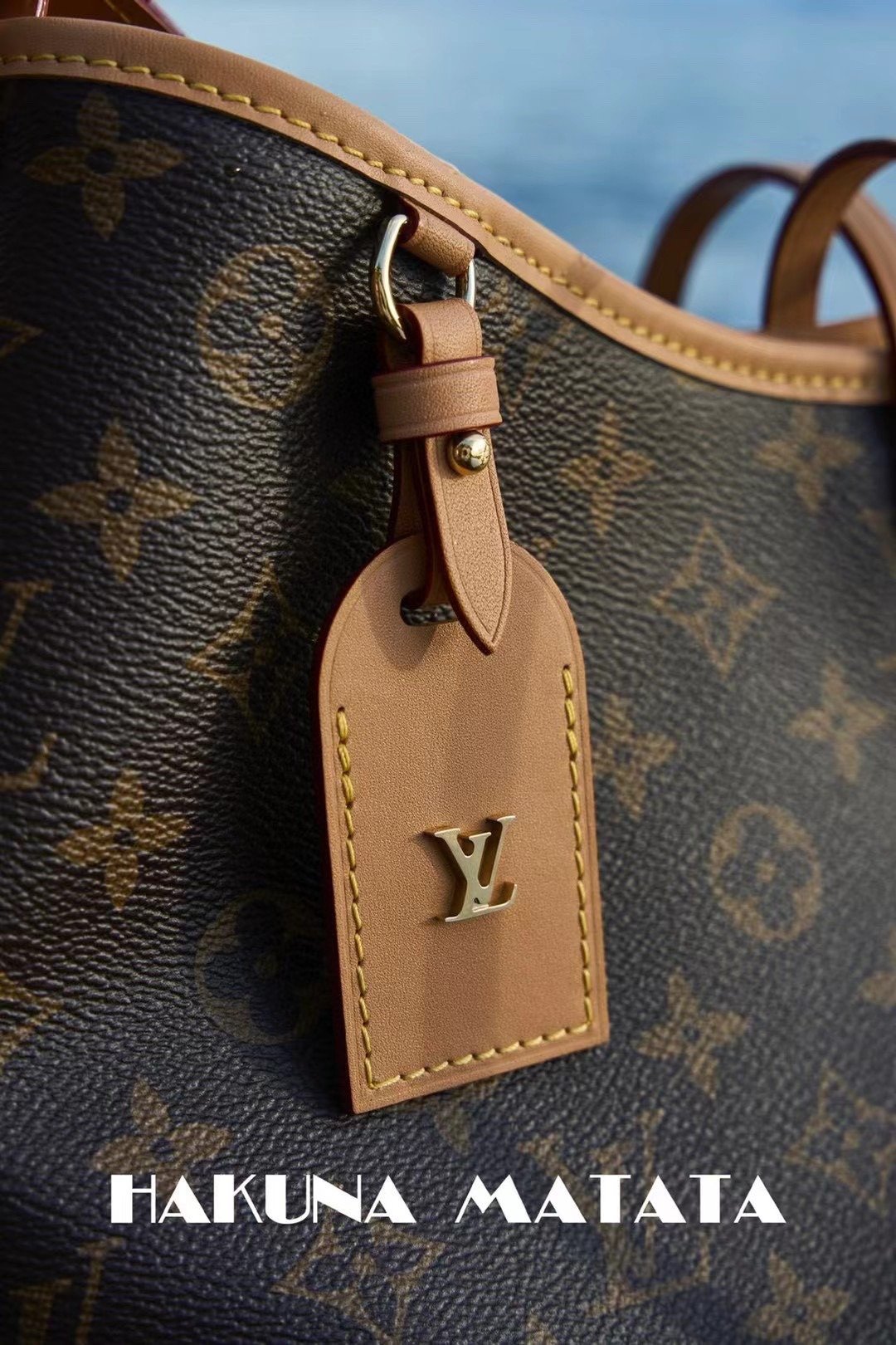 LOUIS VUITTON CARRYALL M46203