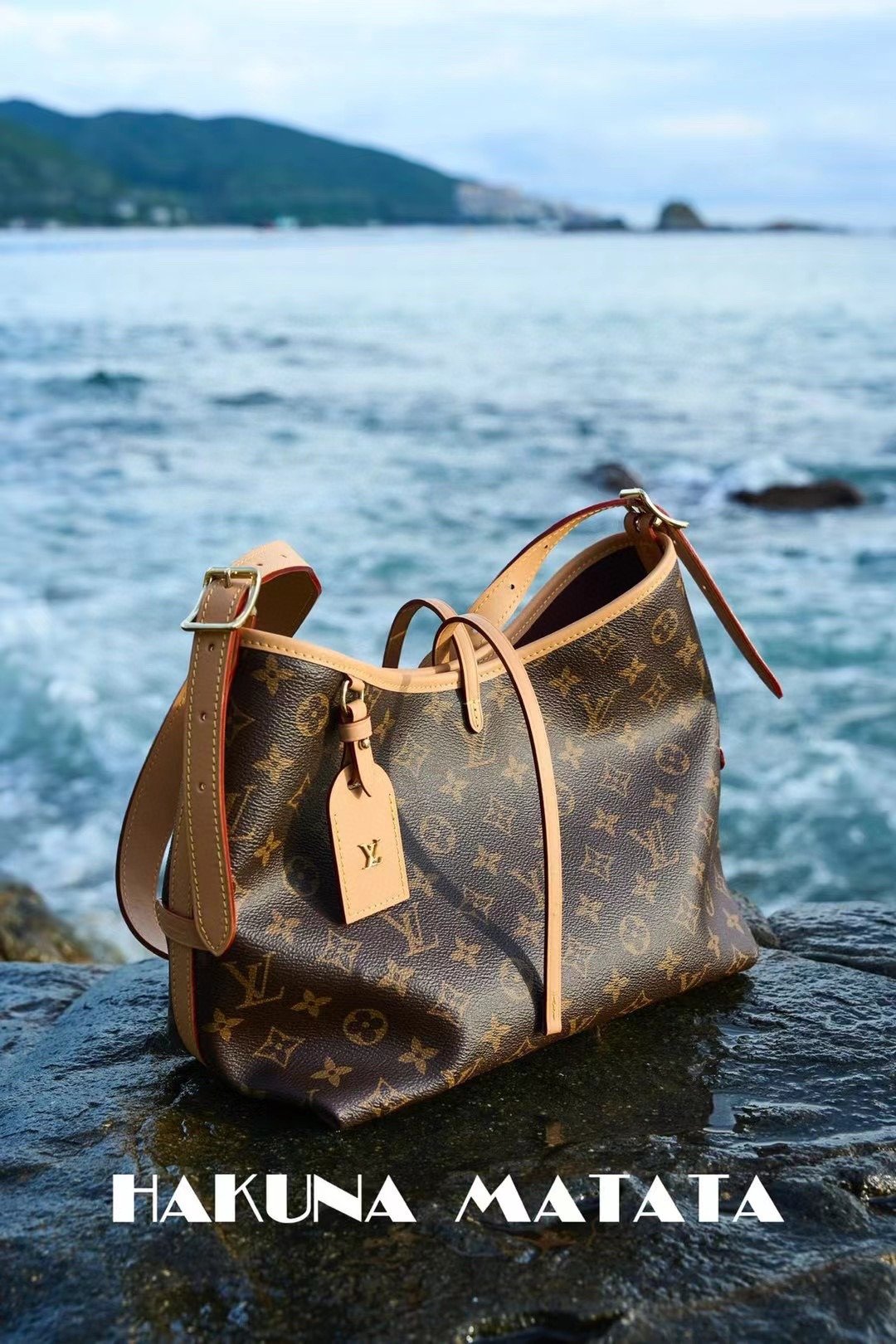 LOUIS VUITTON CARRYALL M46203