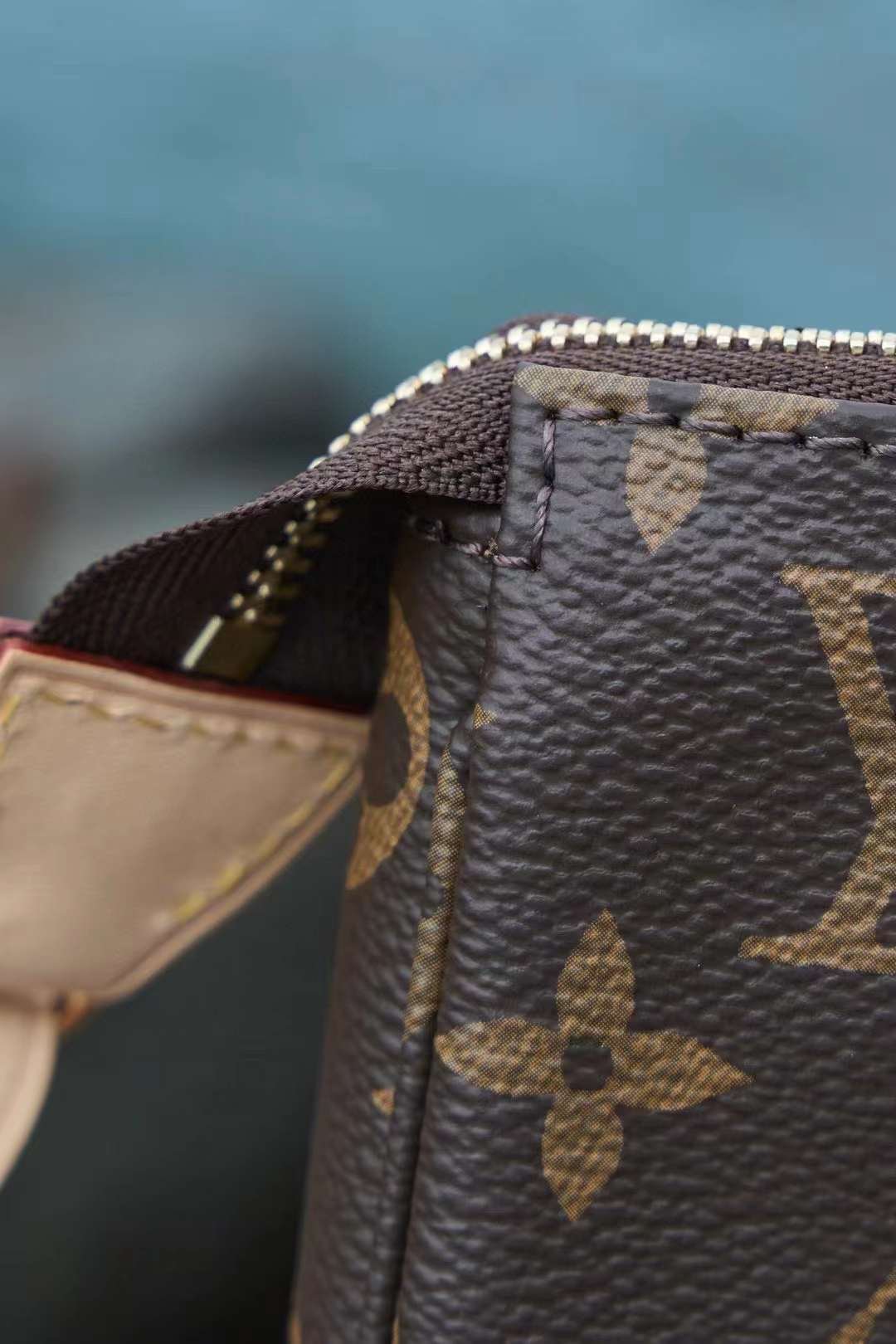 LV Pochette Accessoires Bag M40712