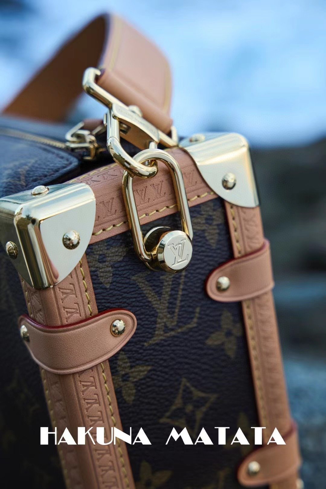 LOUIS VUITTON SIDE TRUNK M46358