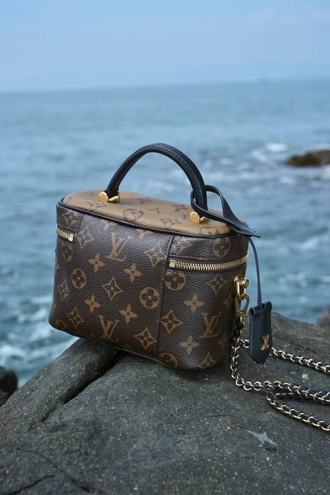 LOUIS VUITTON Vanity M45165