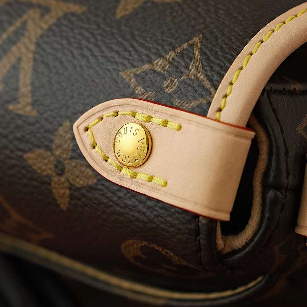 LOUIS VUITTON Saumur BB M46740