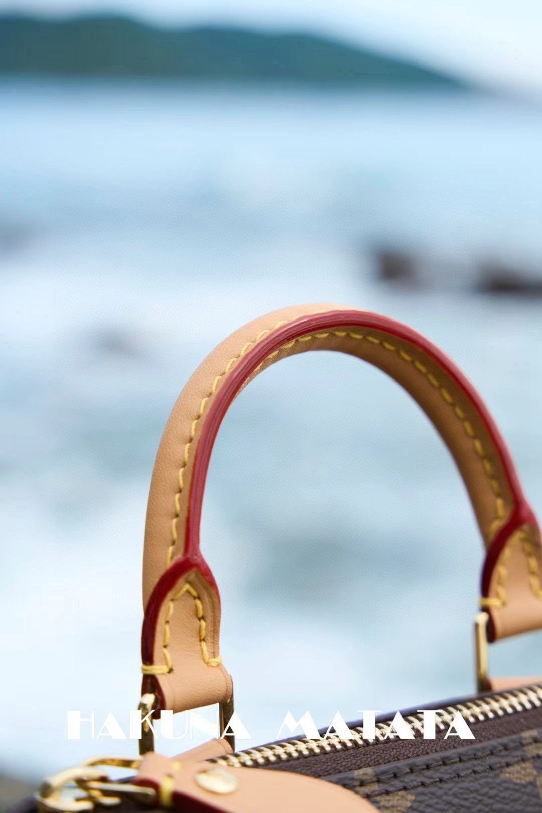 LOUIS VUITTON NANO SPEEDY M81085