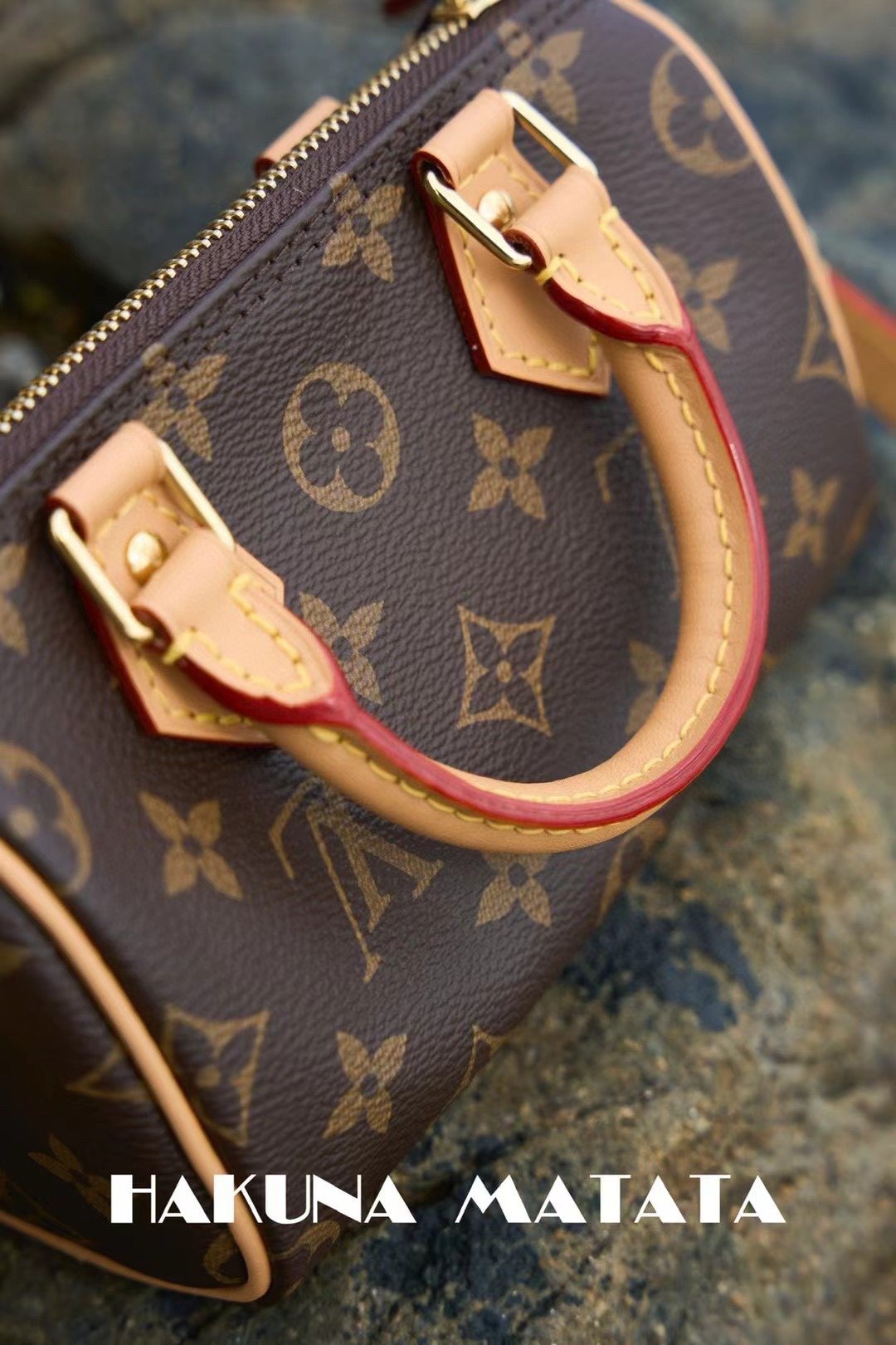 LOUIS VUITTON NANO SPEEDY M81085