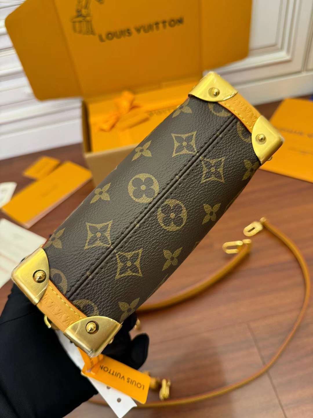 LV M46815 Side Trunk PM