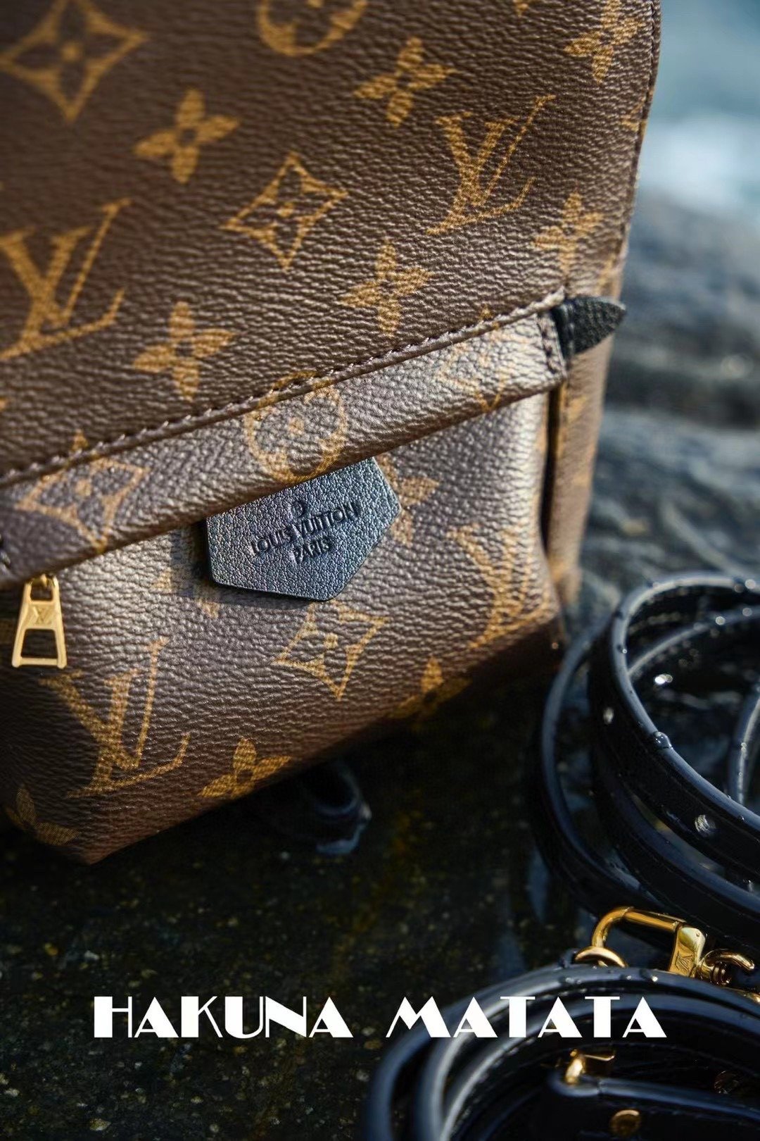LOUIS VUITTON PALM SPRINGS M44873