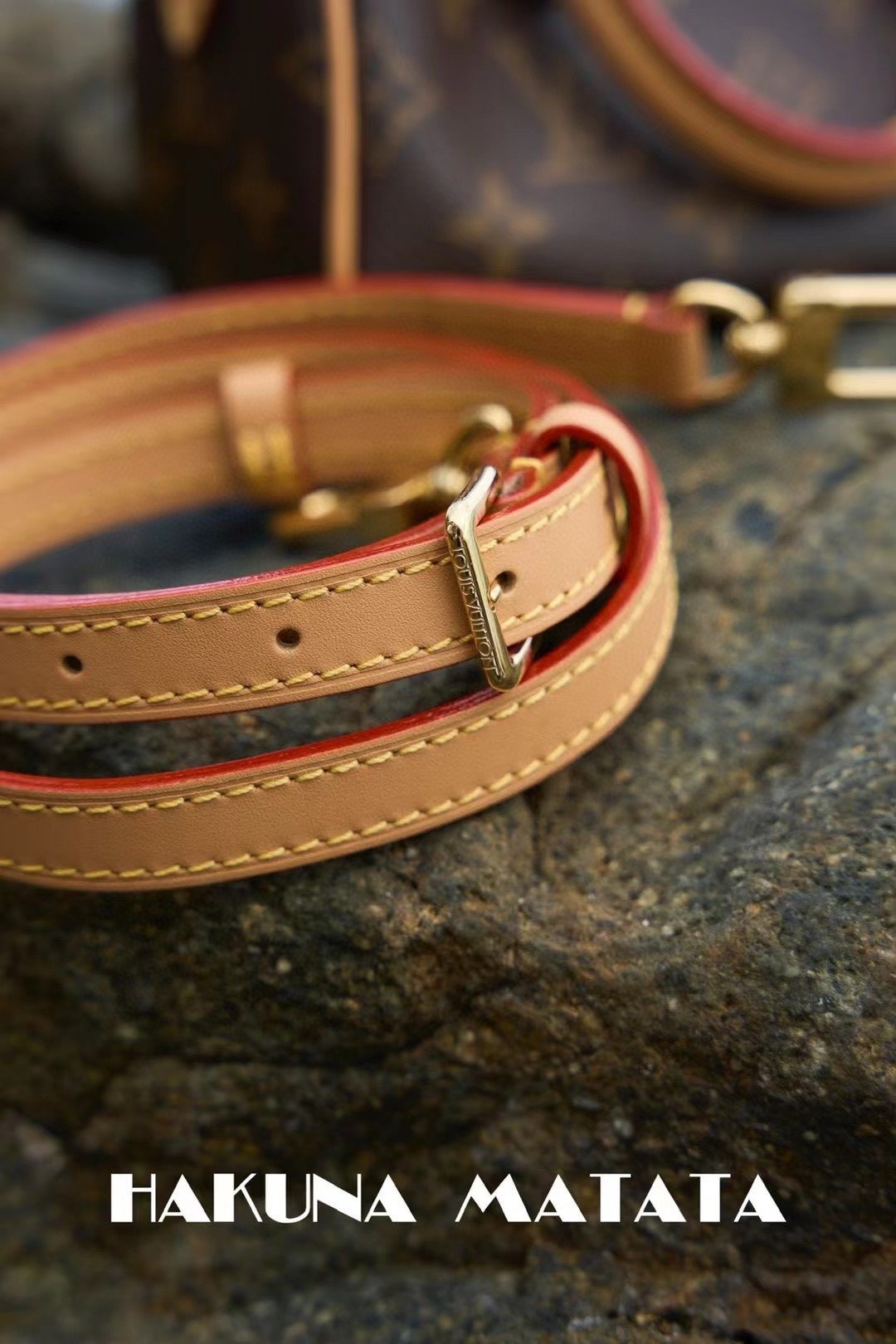 LOUIS VUITTON NANO SPEEDY M81085