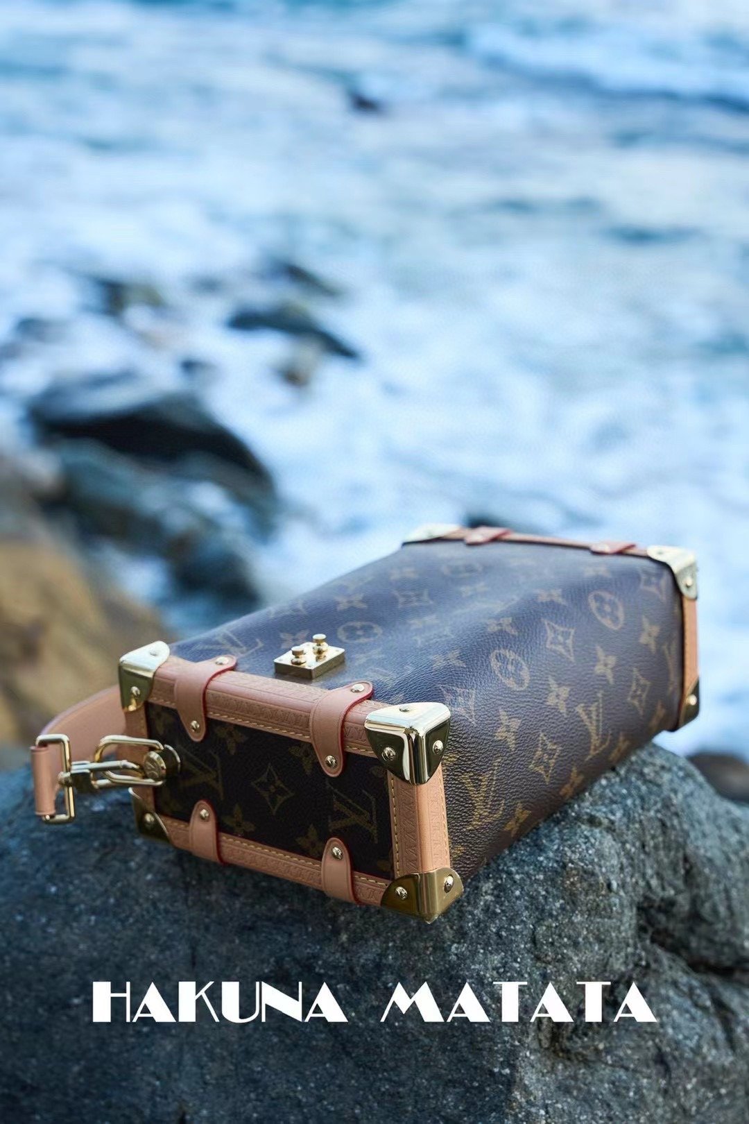 LOUIS VUITTON SIDE TRUNK M46358