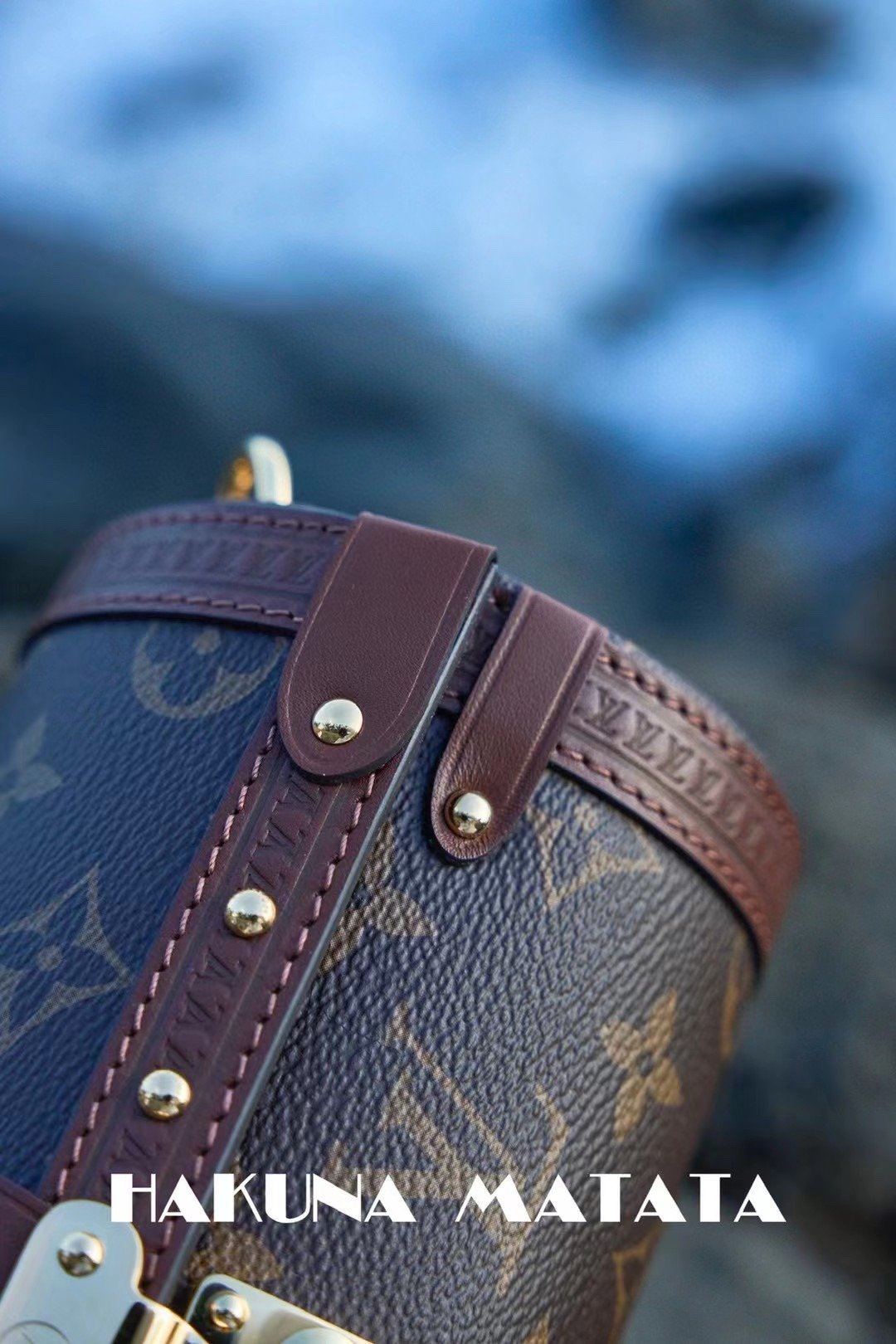 LOUIS VUITTON PAPILLON TRUNK M57835