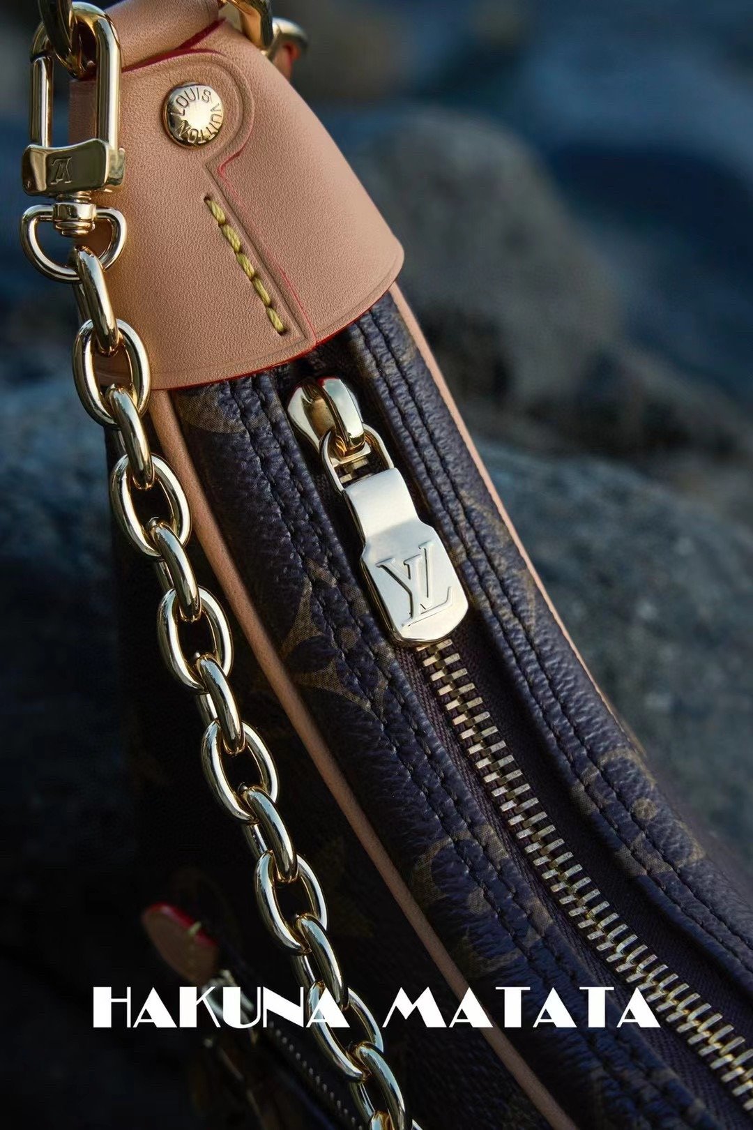 LOUIS VUITTON LOOP M81098