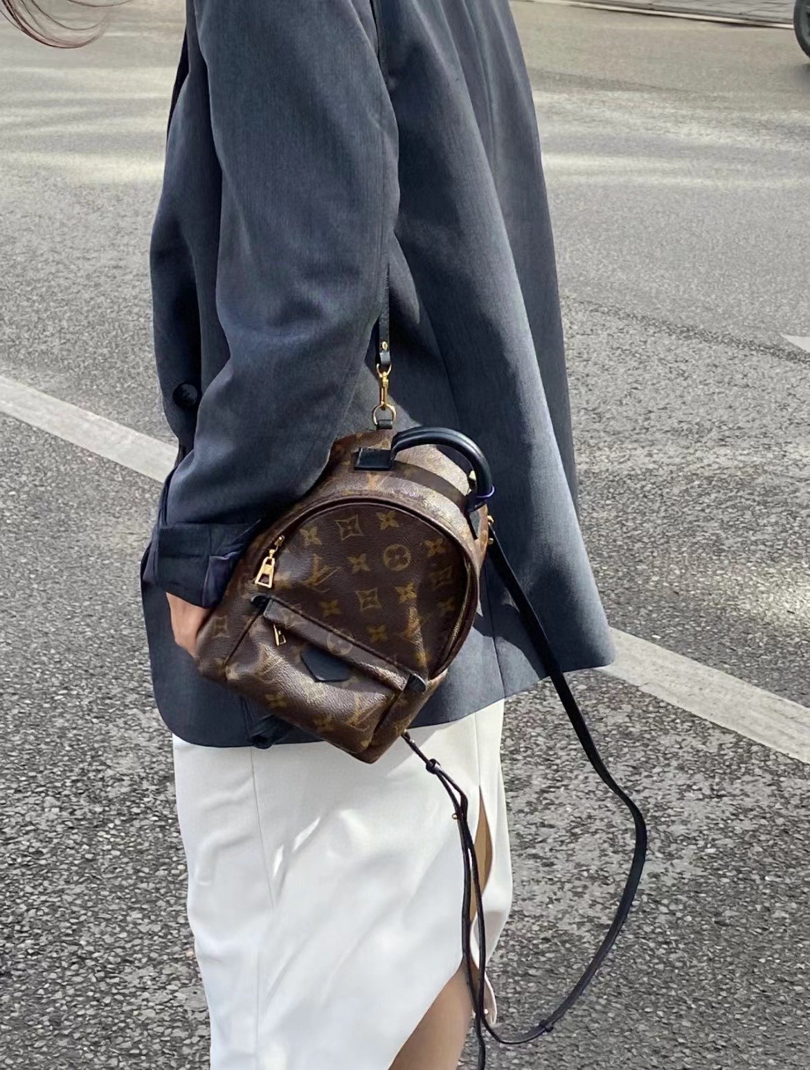 LOUIS VUITTON PALM SPRINGS M44873