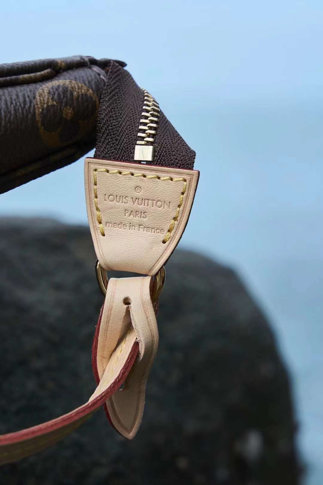 LV Pochette Accessoires Bag M40712