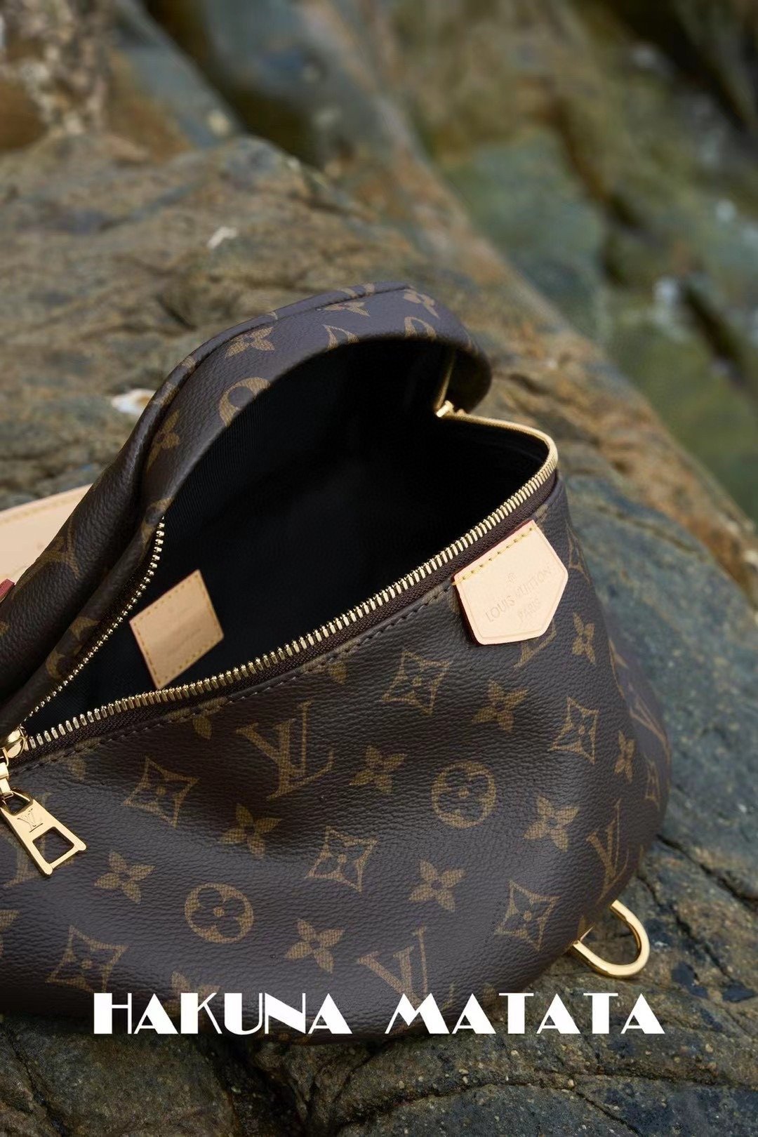 LOUIS VUITTON BUMBAG M43644