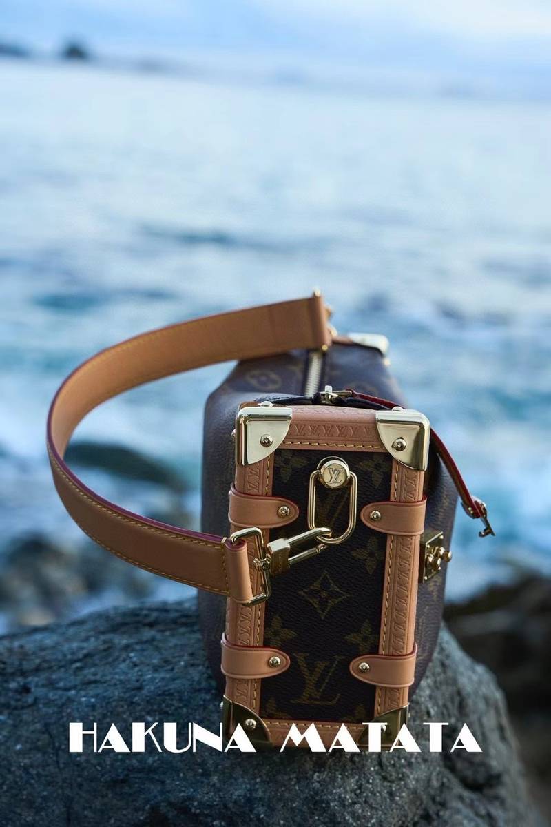 LOUIS VUITTON SIDE TRUNK M46358