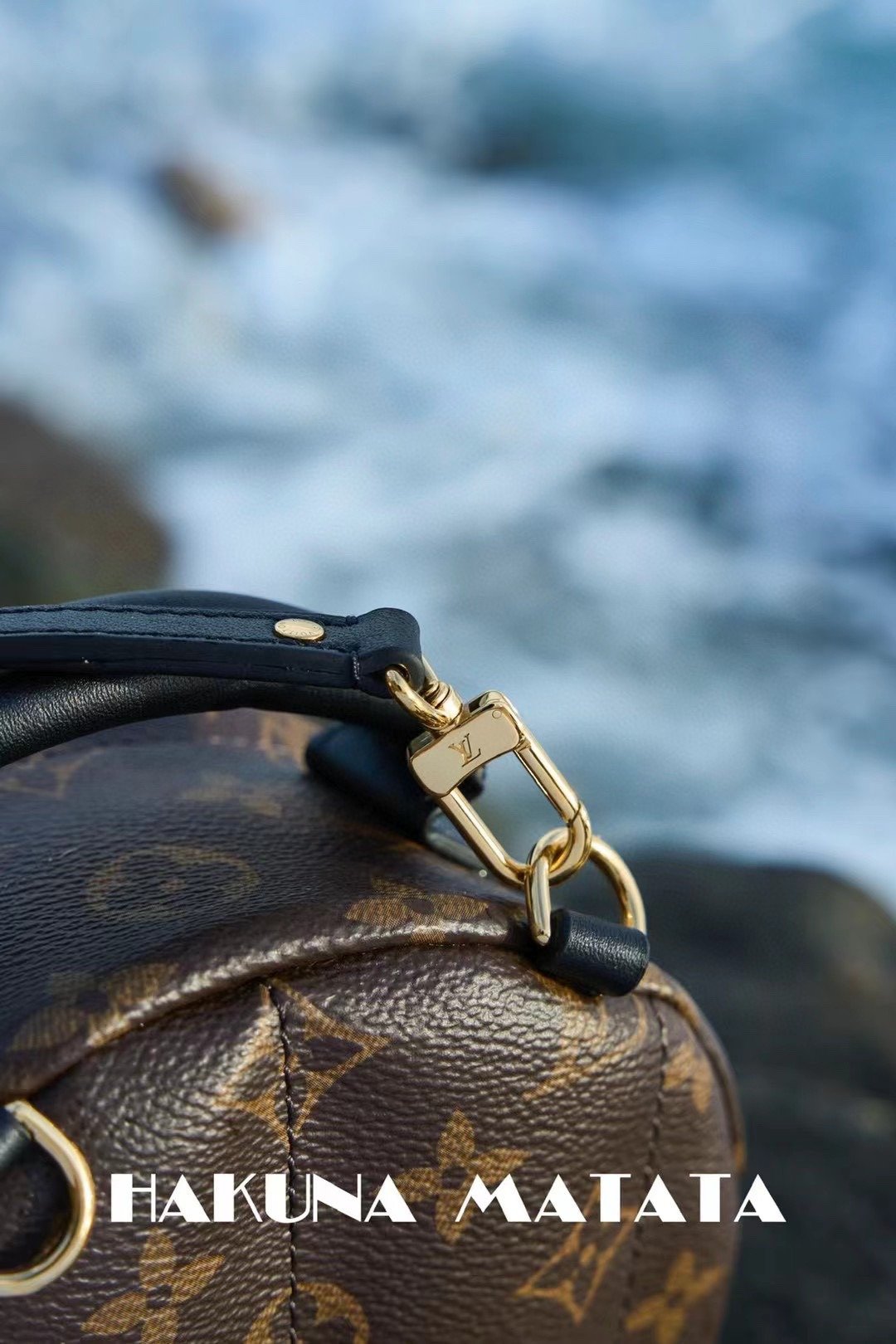 LOUIS VUITTON PALM SPRINGS M44873