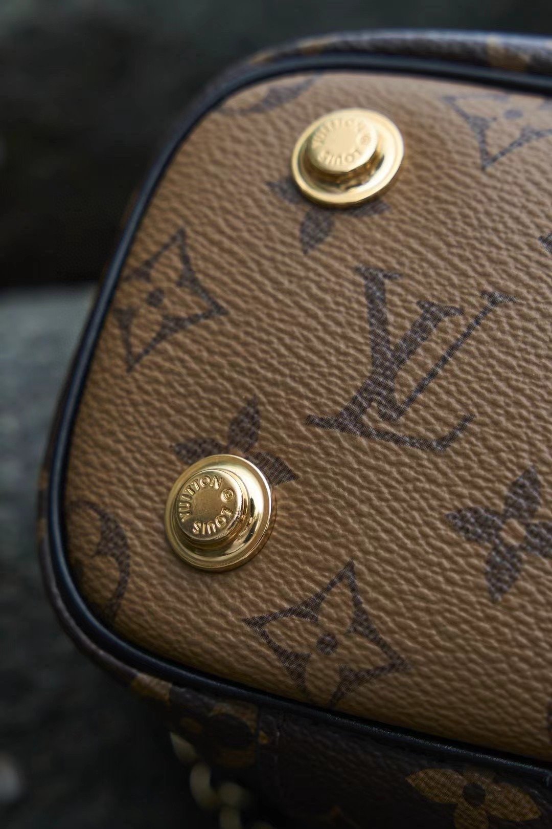 LOUIS VUITTON Vanity M45165