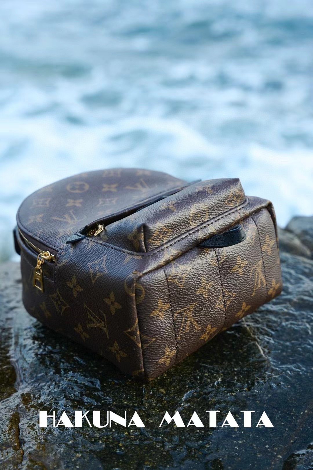 LOUIS VUITTON PALM SPRINGS M44873