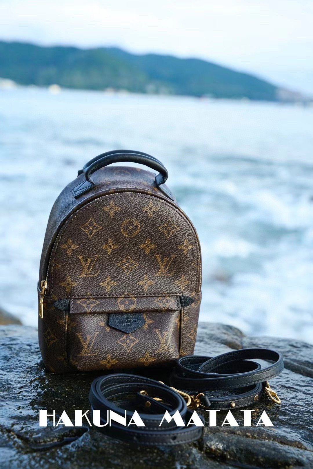 LOUIS VUITTON PALM SPRINGS M44873