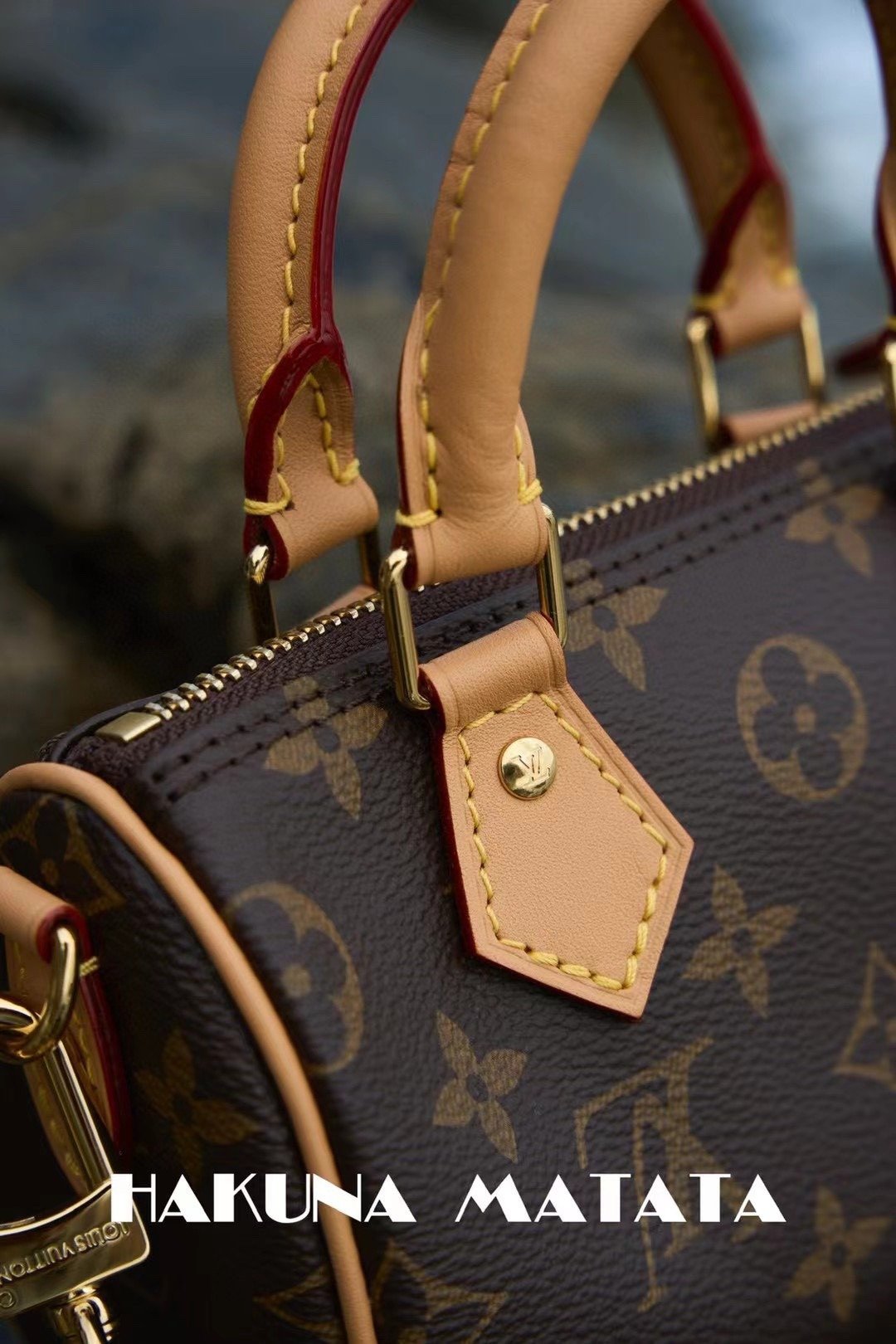 LOUIS VUITTON NANO SPEEDY M81085