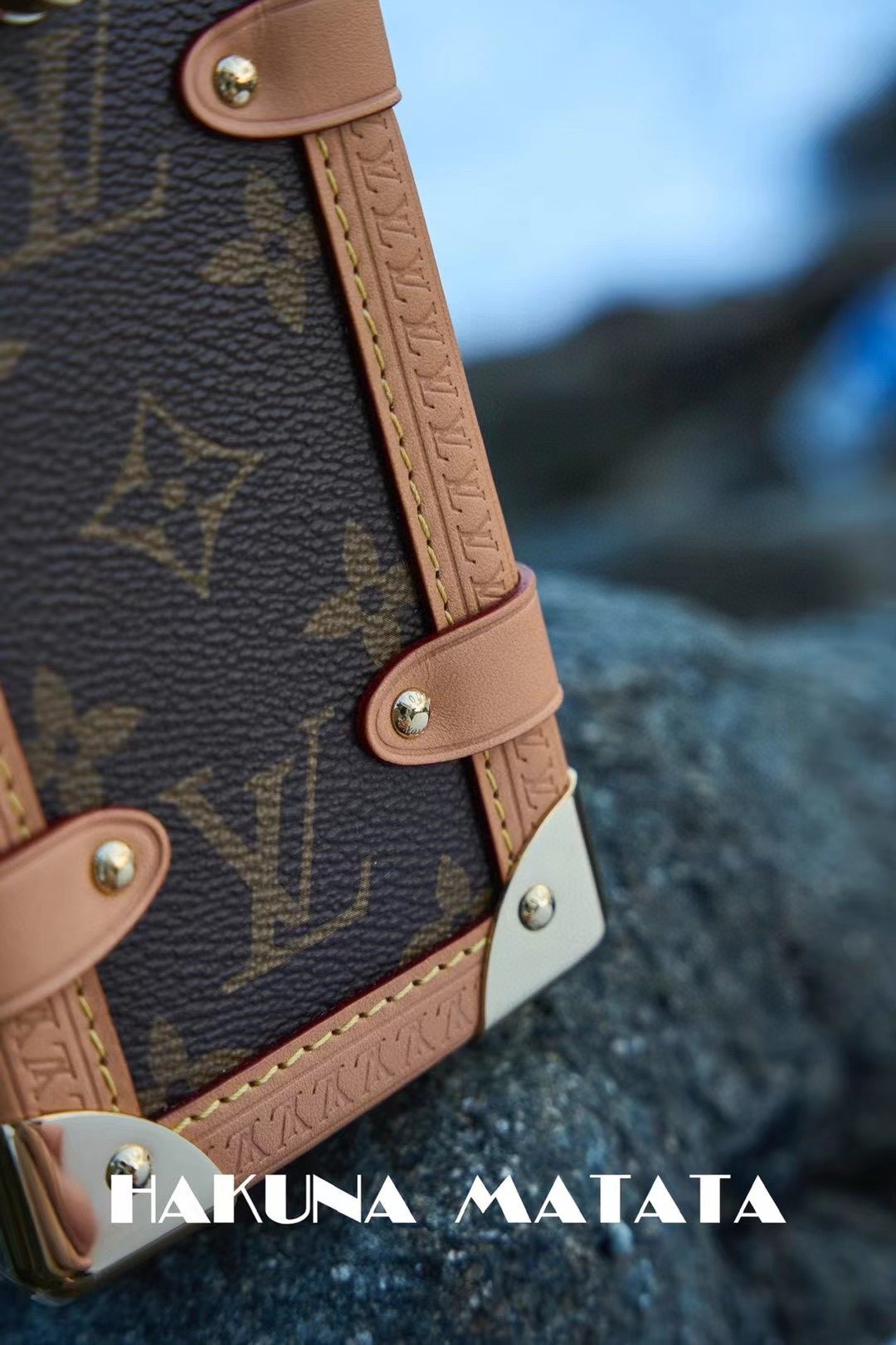 LOUIS VUITTON SIDE TRUNK M46358