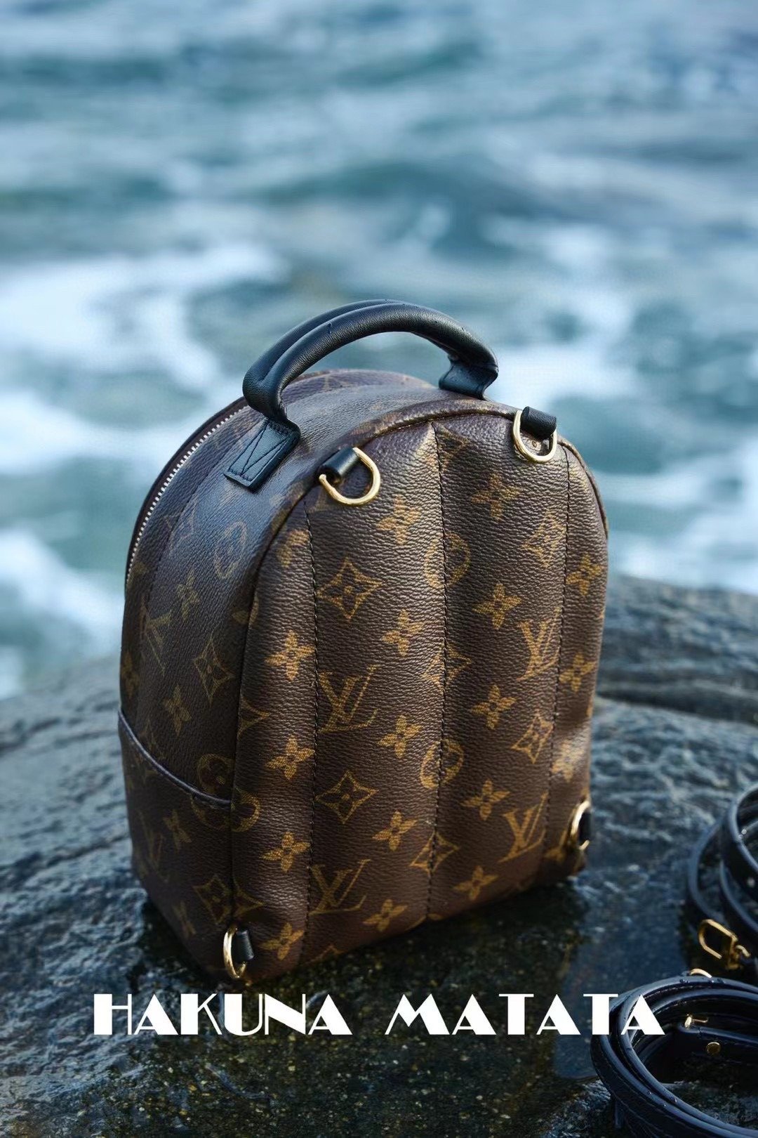 LOUIS VUITTON PALM SPRINGS M44873