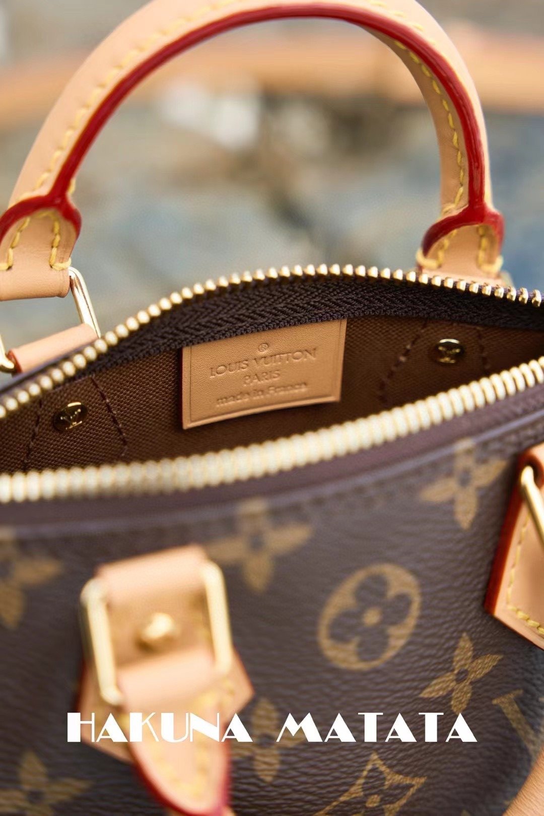 LOUIS VUITTON NANO SPEEDY M81085