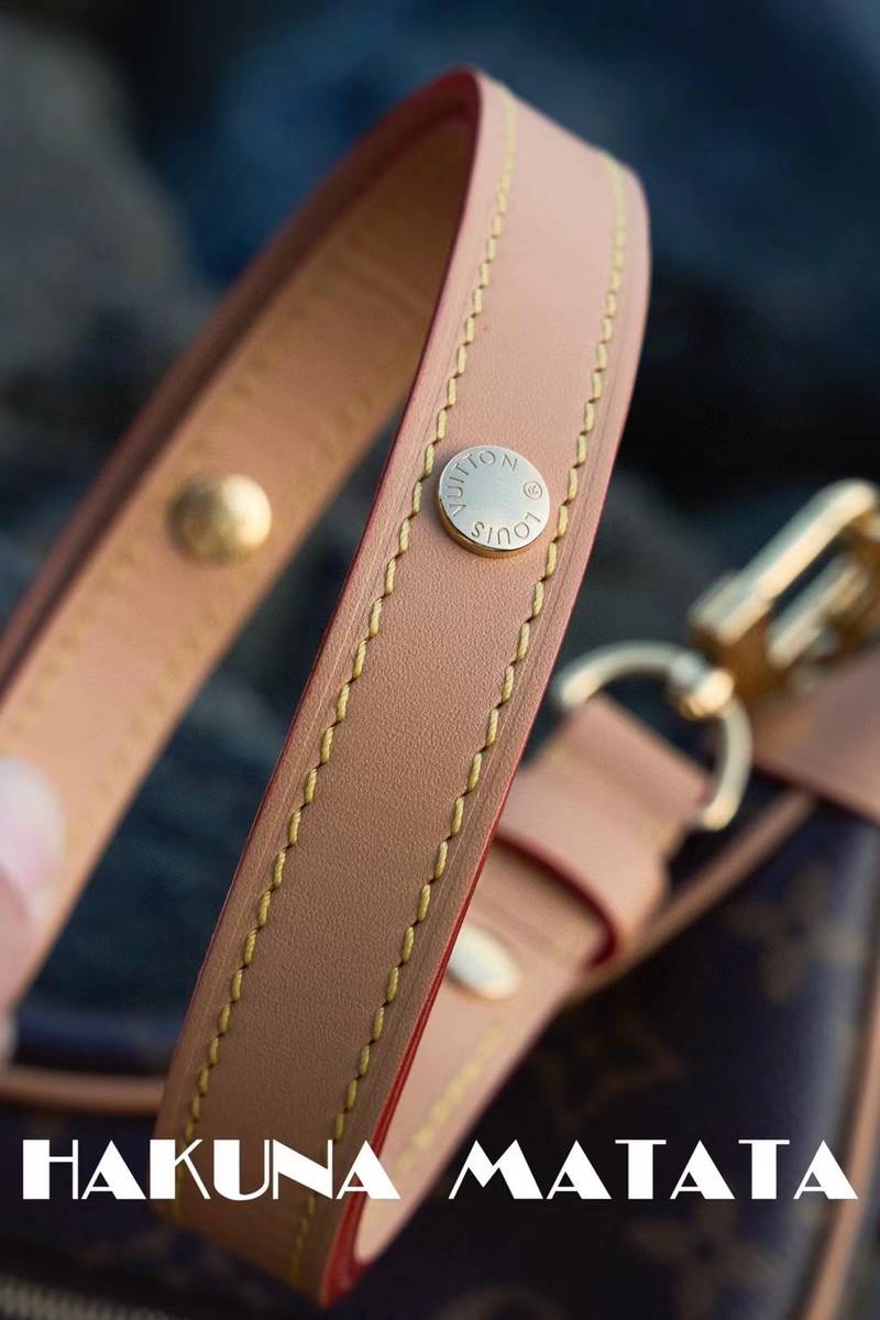 LOUIS VUITTON LOOP M81098