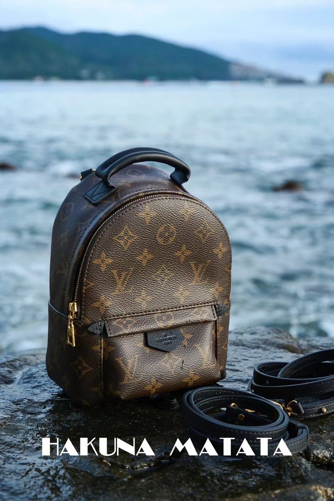 LOUIS VUITTON PALM SPRINGS M44873