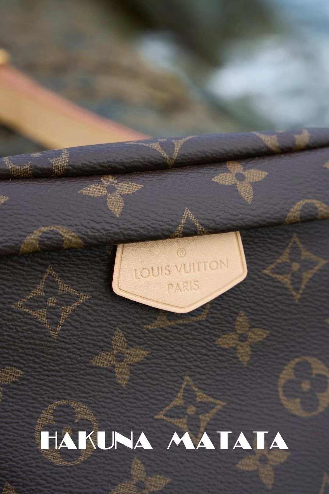 LOUIS VUITTON BUMBAG M43644