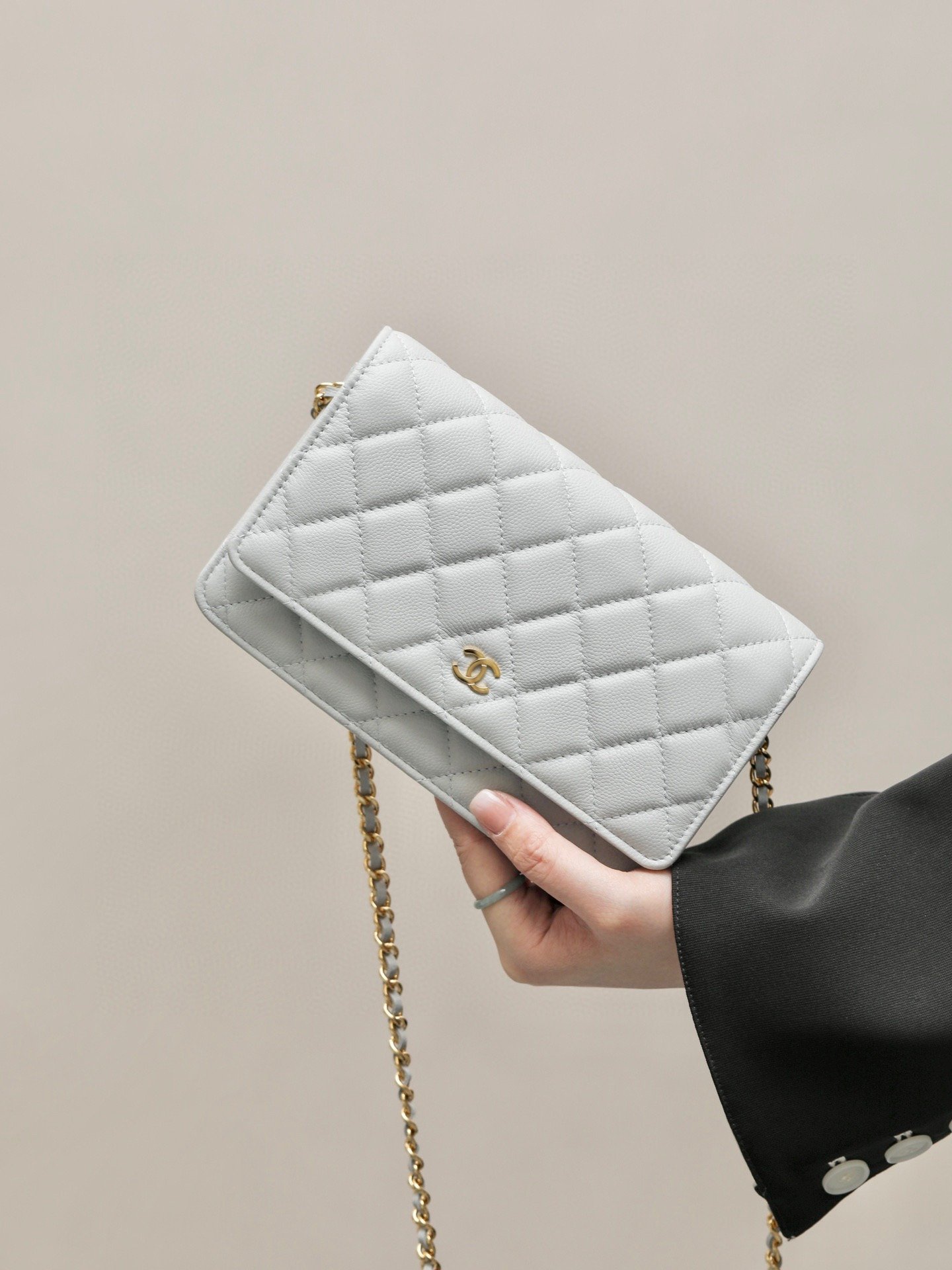 CHANEL classics woc flap bag