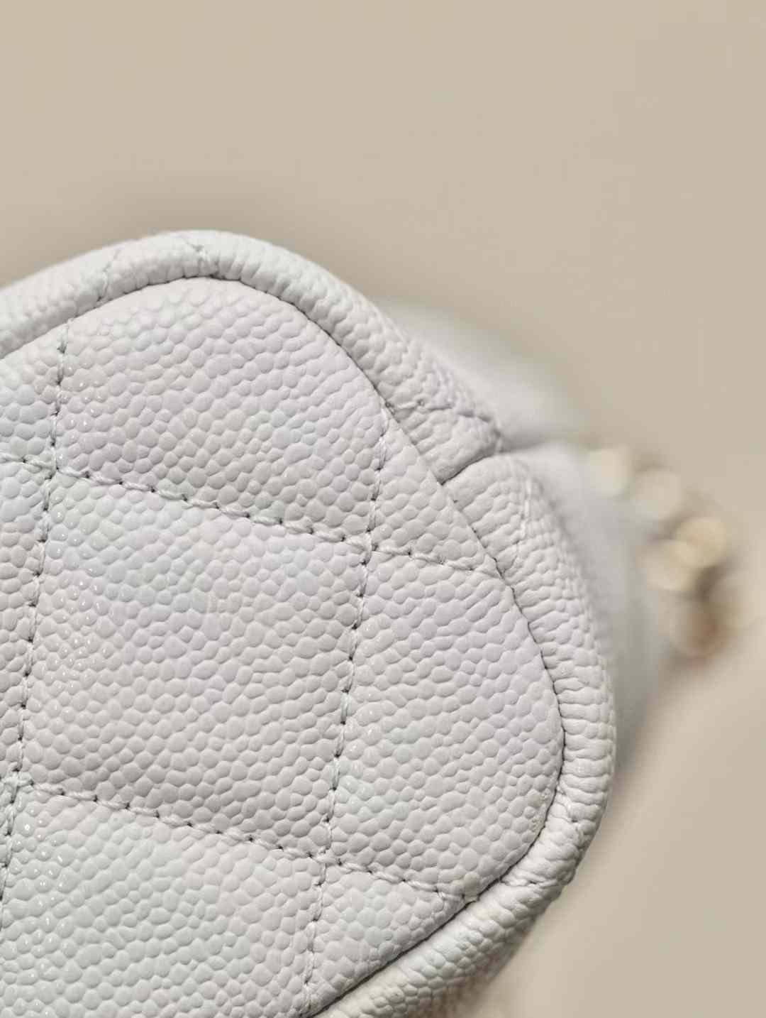 CHANEL 25C  hand bag
