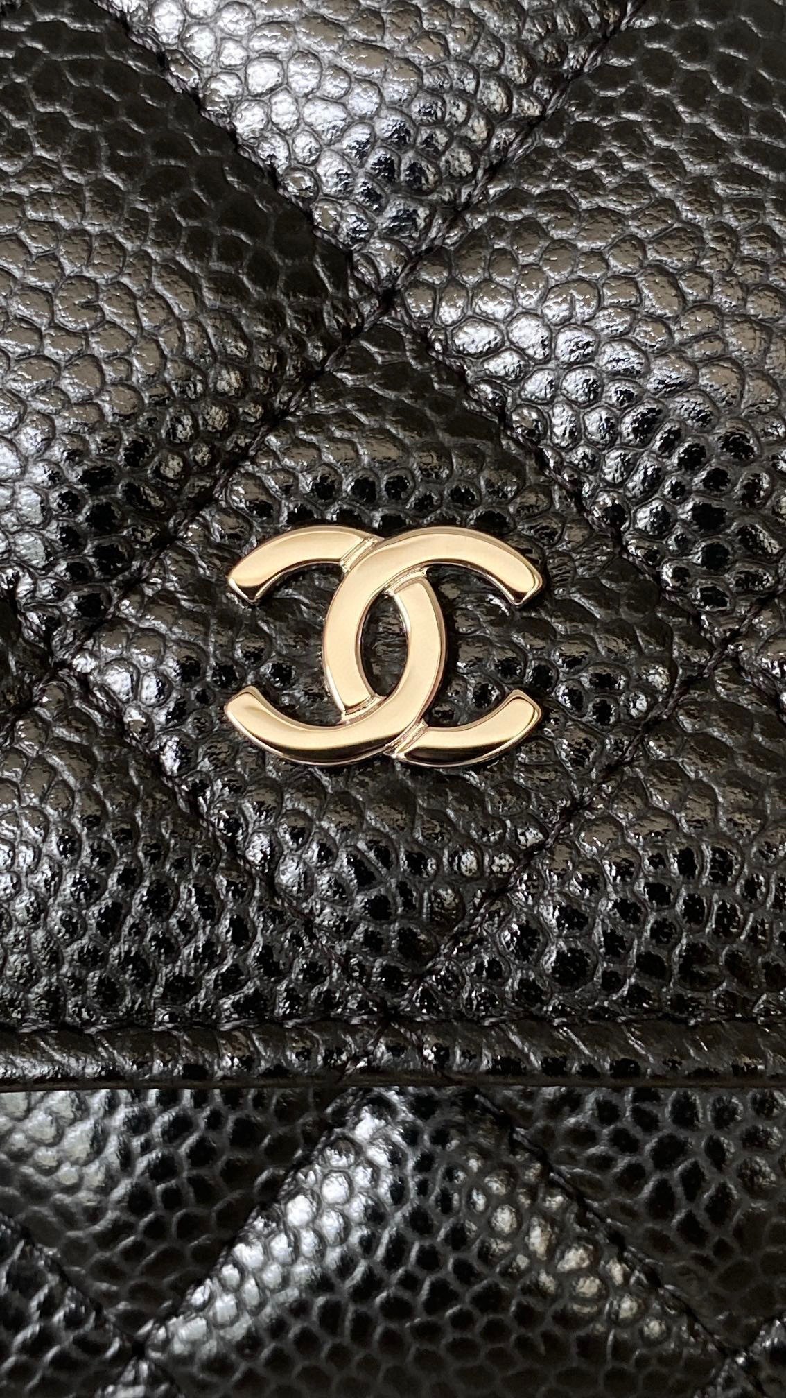 CHANEL Woc Bag