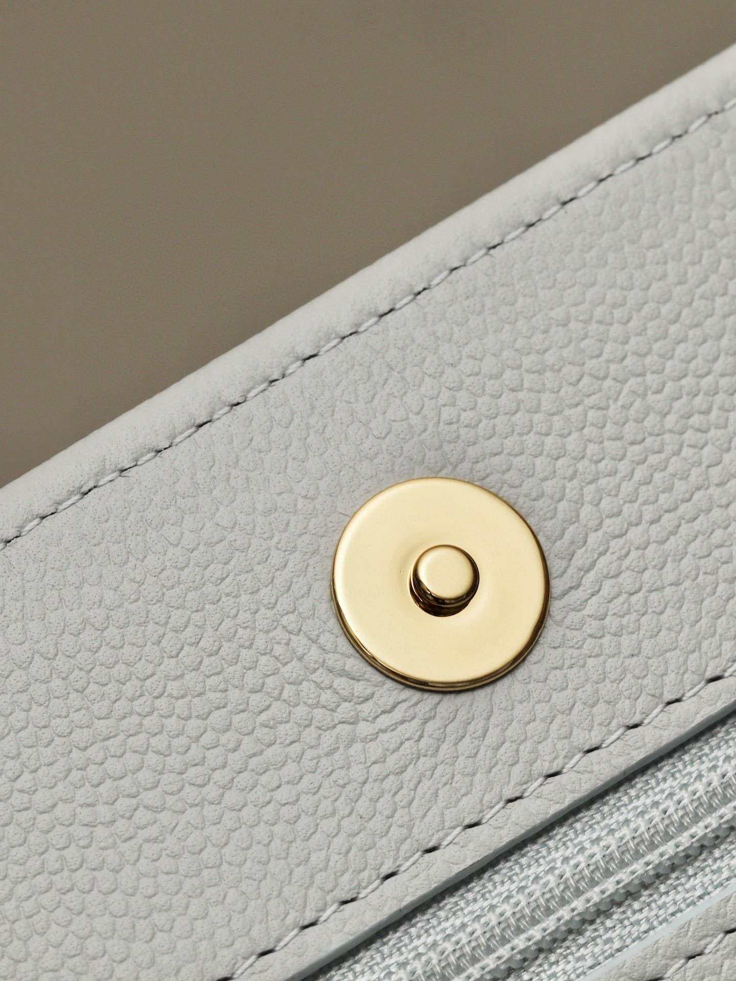 CHANEL classics woc flap bag