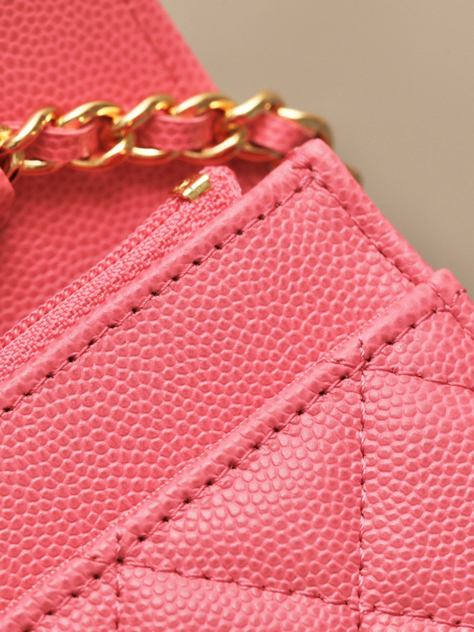 CHANEL classics woc flap bag