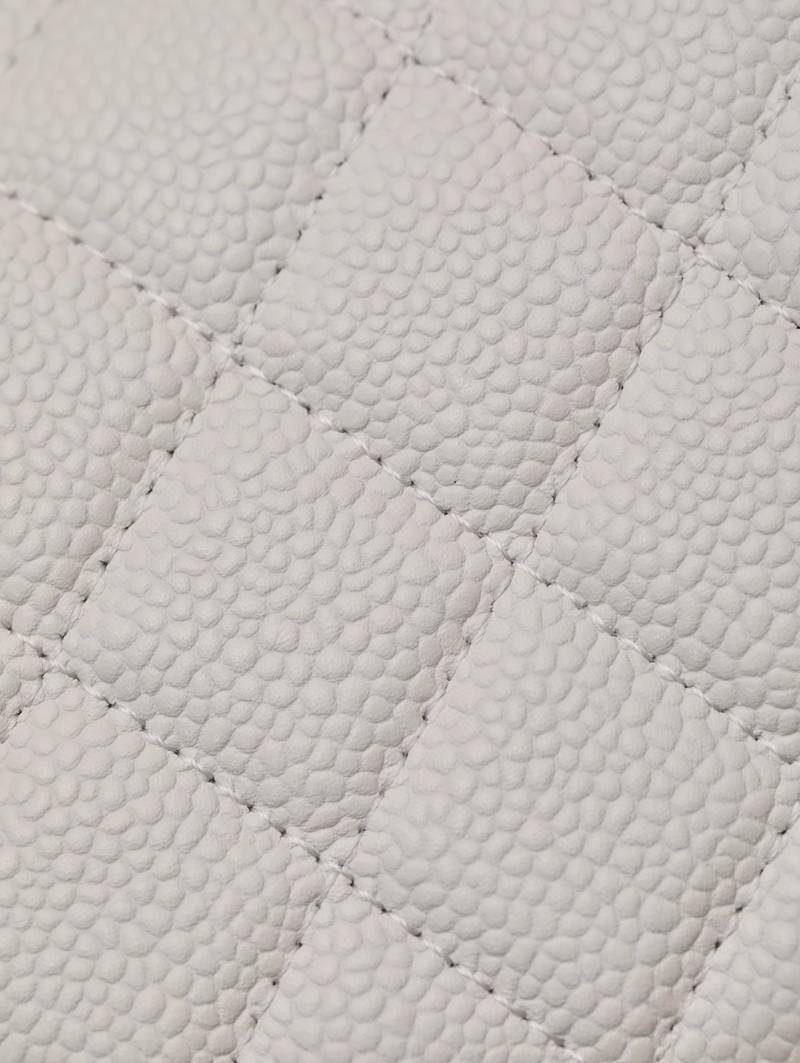 CHANEL classics woc flap bag