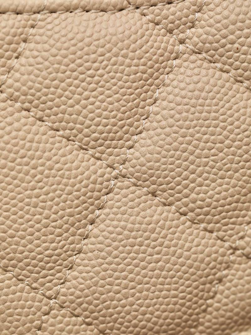 CHANEL classics woc flap bag