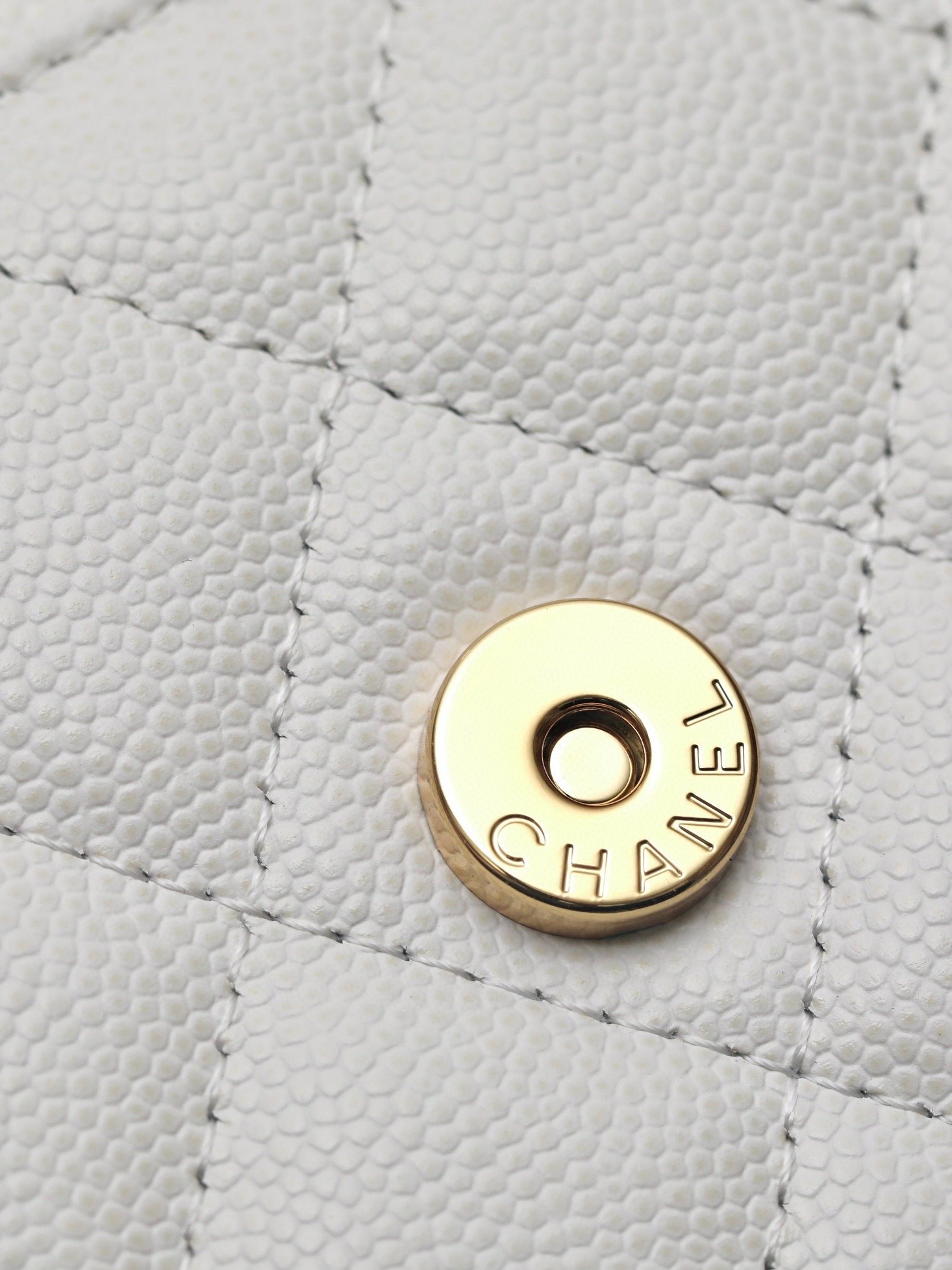 CHANEL classics woc flap bag