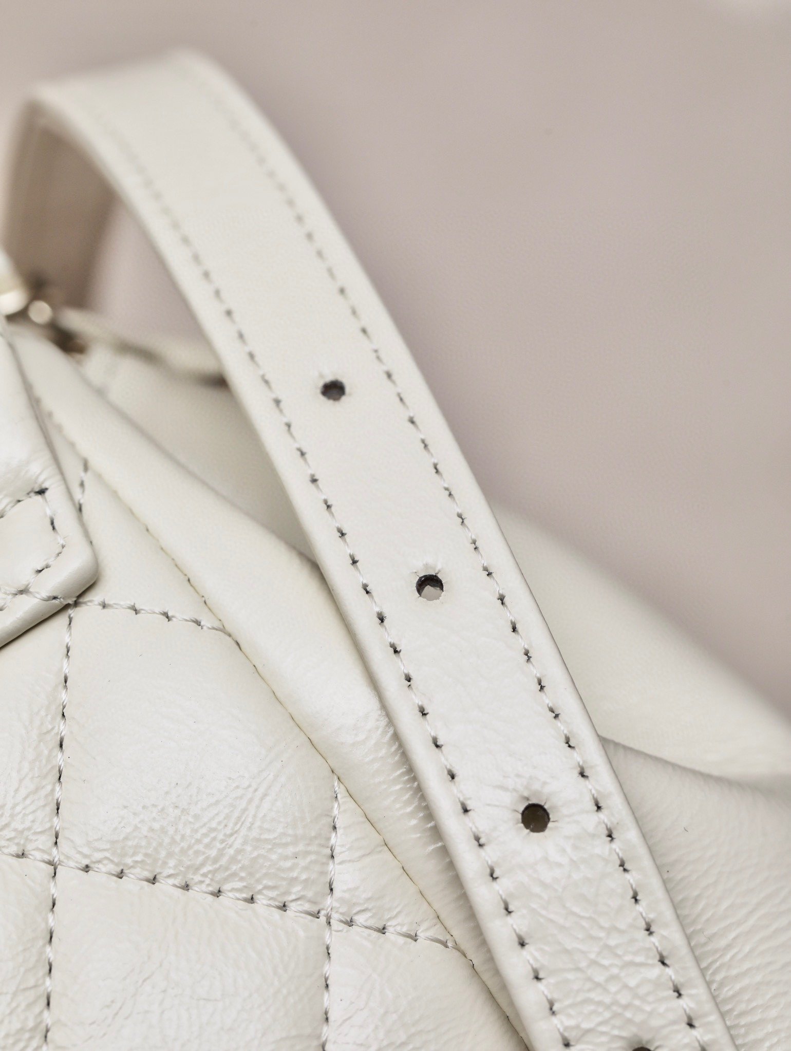 CHANEL Calfskin Duma Backpack