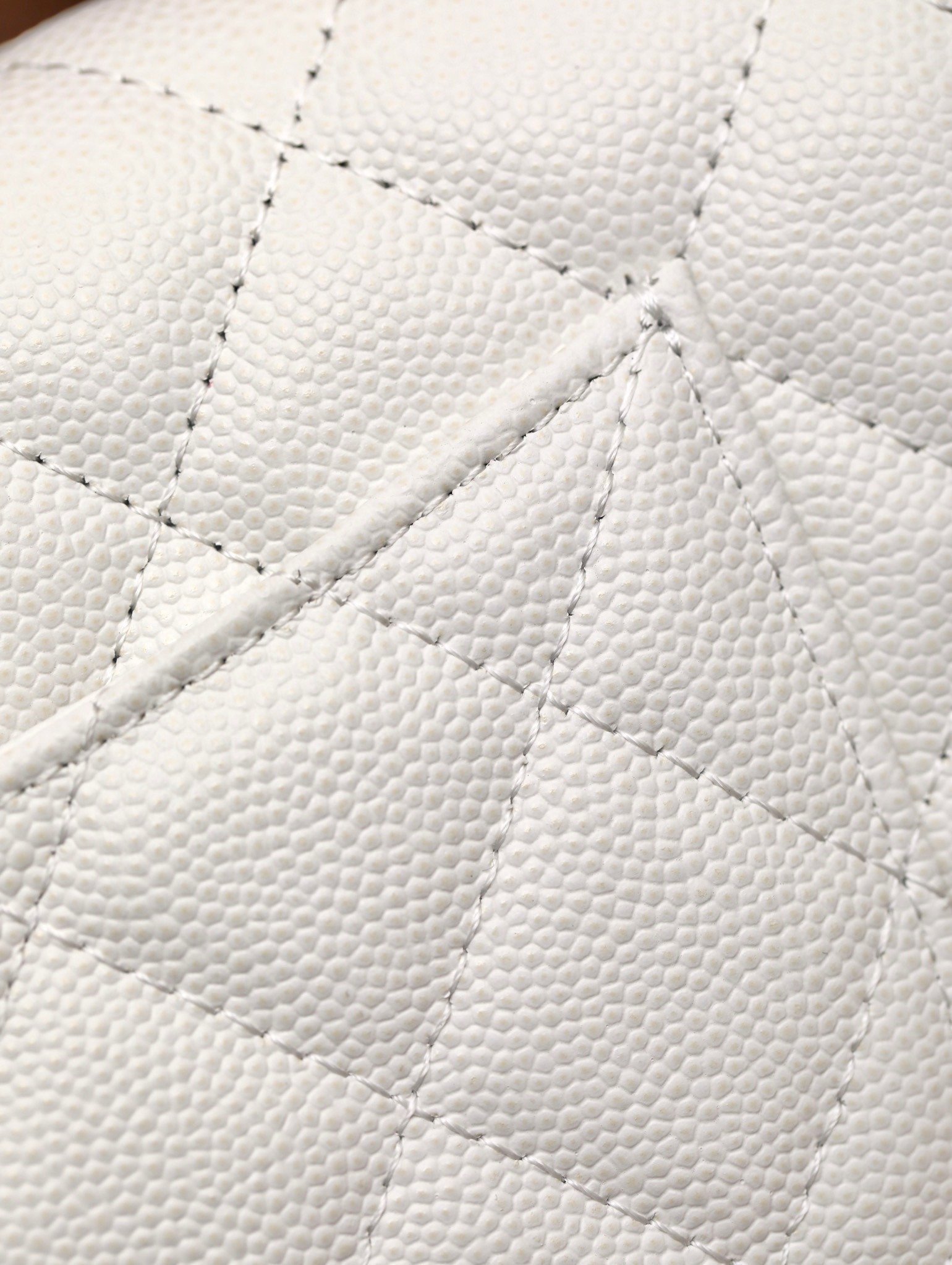 CHANEL classics woc flap bag