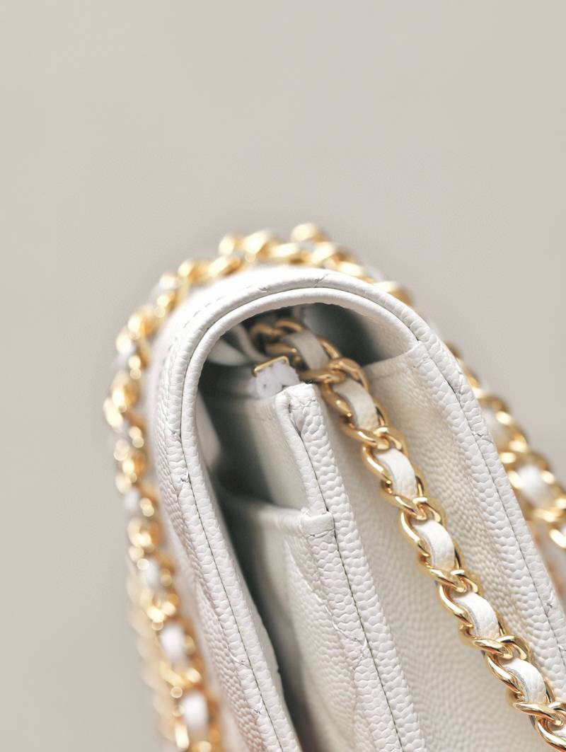 CHANEL classics woc flap bag