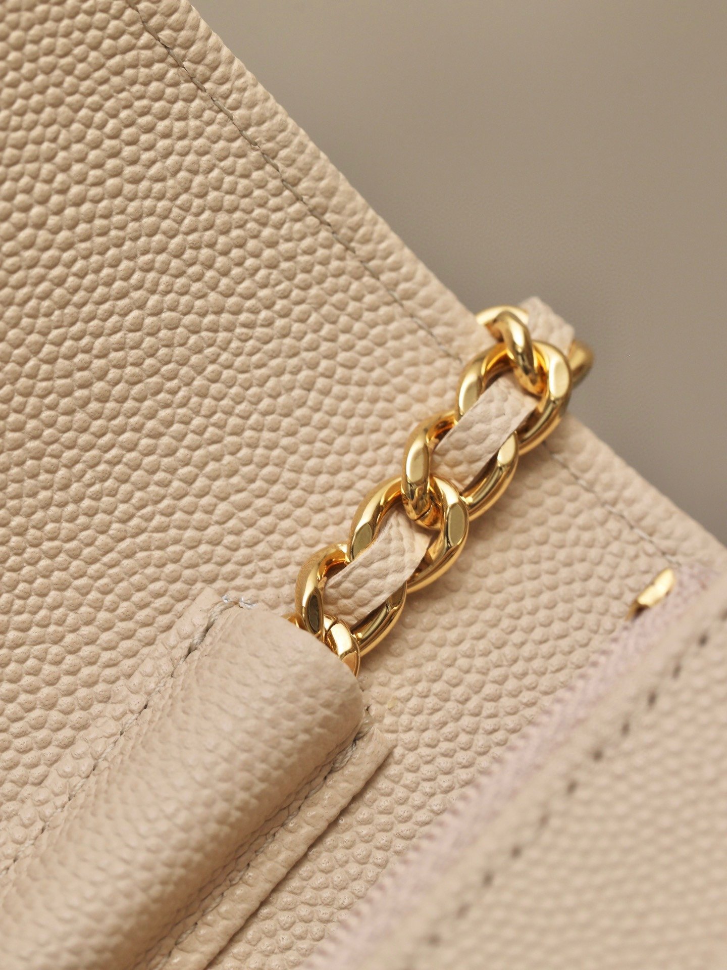 CHANEL classics woc flap bag