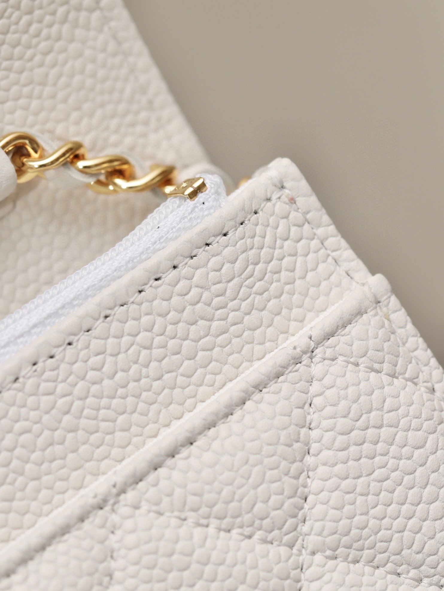 CHANEL classics woc flap bag