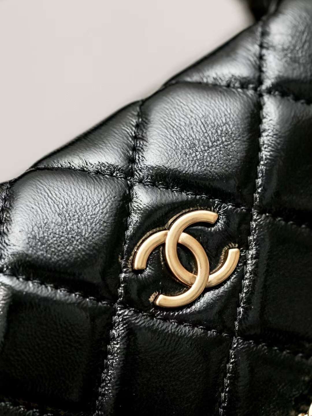CHANEL carry-on bag