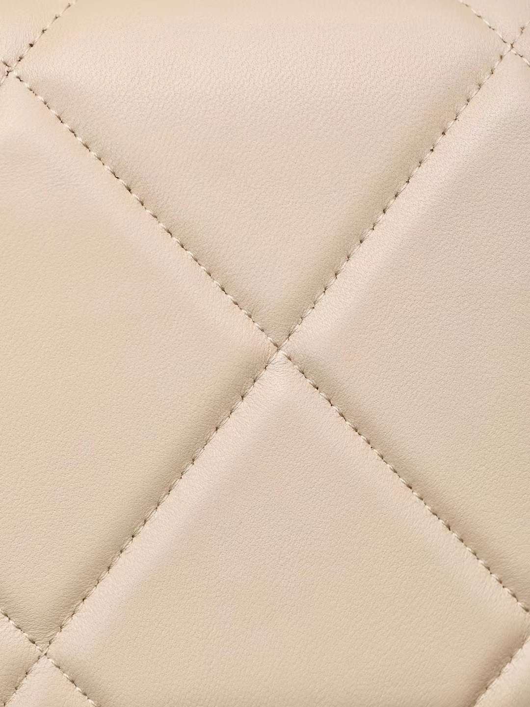 CHANEL classics 19 woc