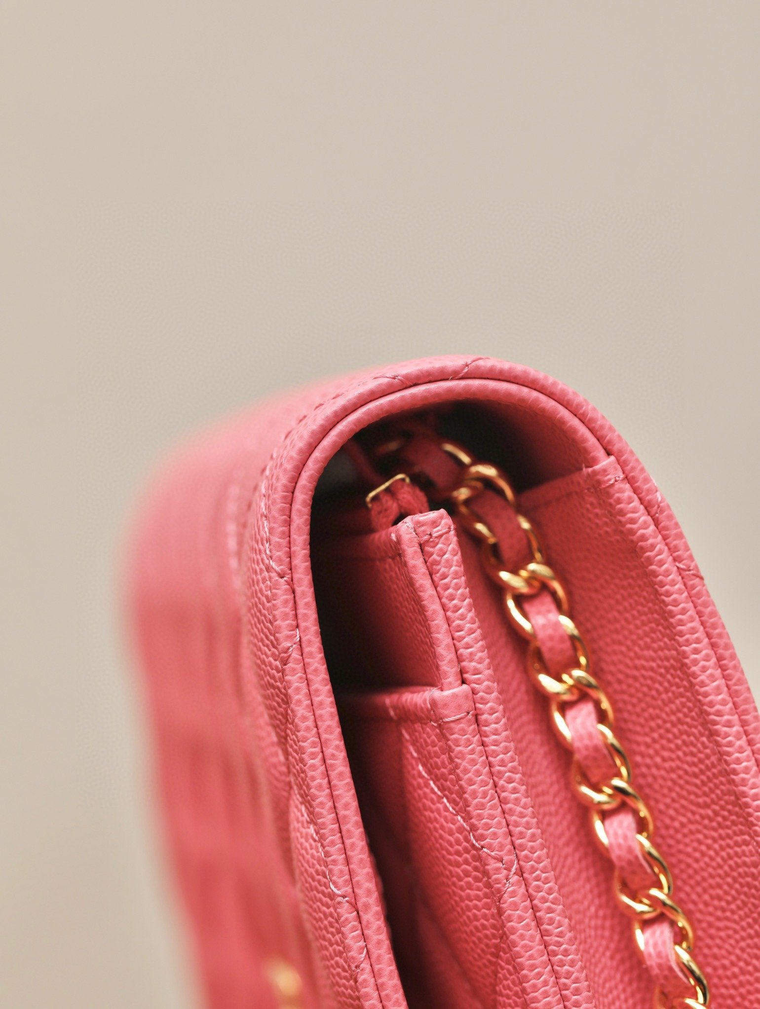 CHANEL classics woc flap bag